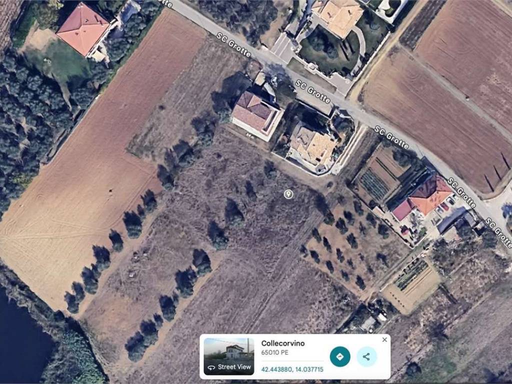 immagine annuncio 1 di 2