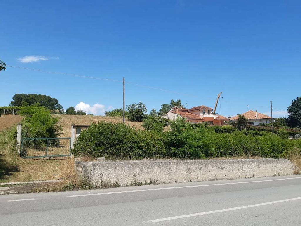 immagine annuncio 3 di 4