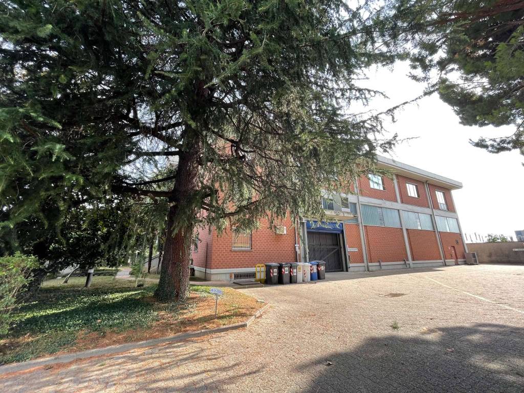 immagine annuncio 3 di 5