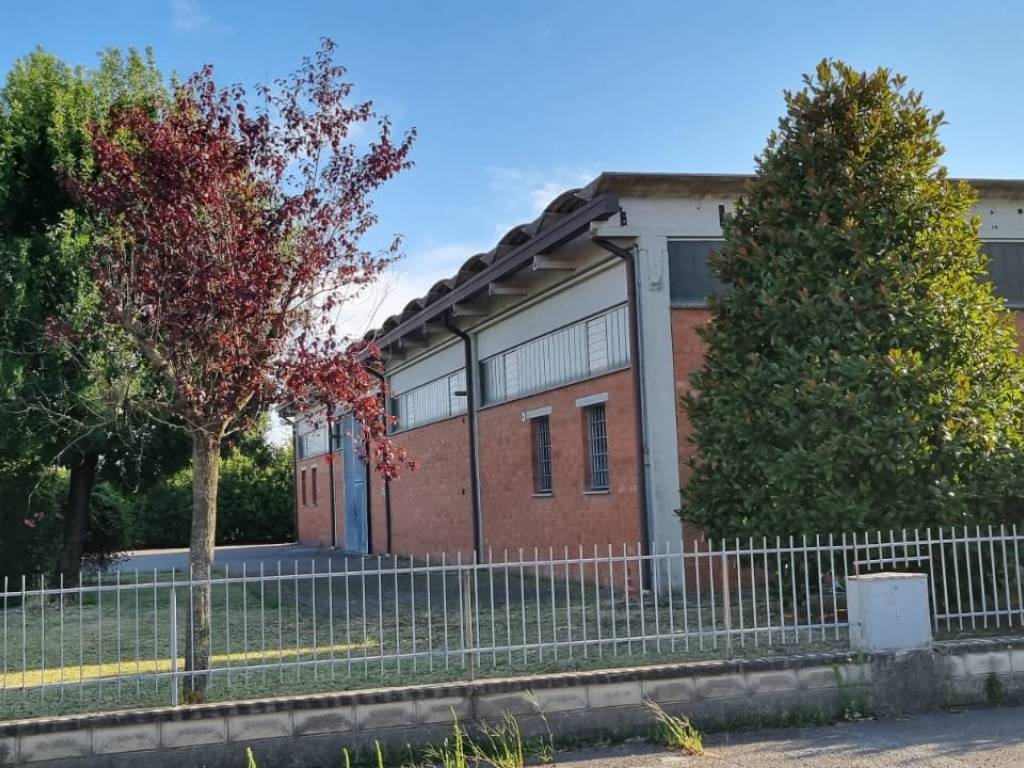 immagine annuncio 2 di 5