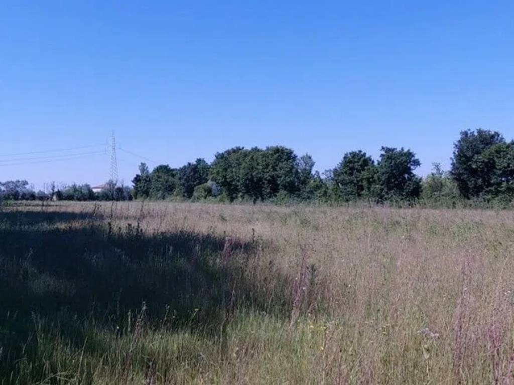 immagine annuncio 3 di 4