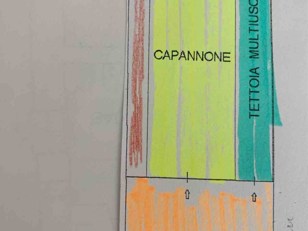 immagine annuncio 1 di 2