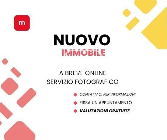 immagine annuncio 1 di 2