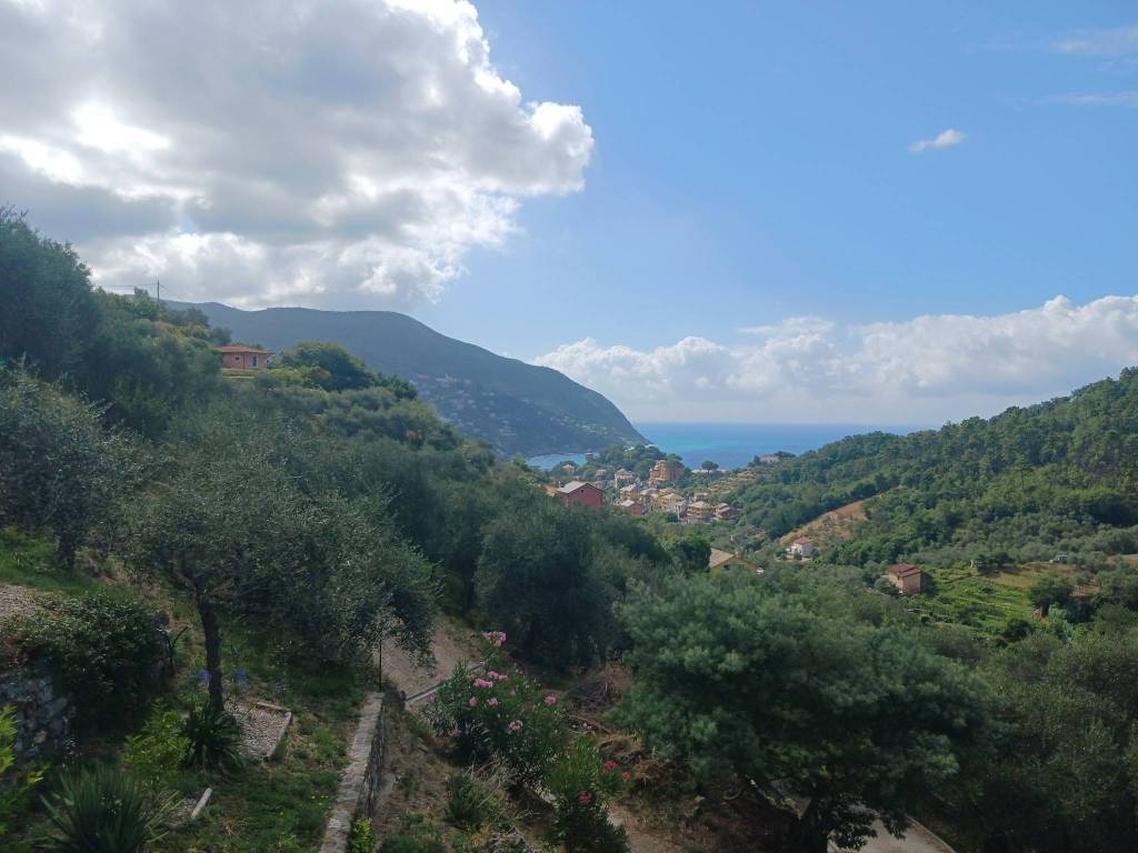 immagine annuncio 1 di 2