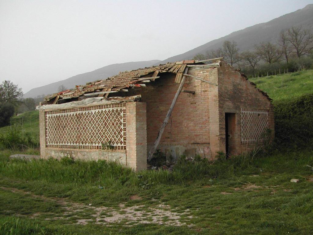 immagine annuncio 3 di 4
