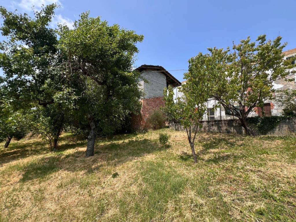 immagine annuncio 2 di 4