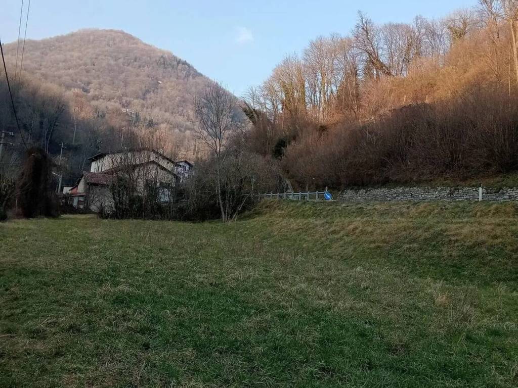 immagine annuncio 1 di 3