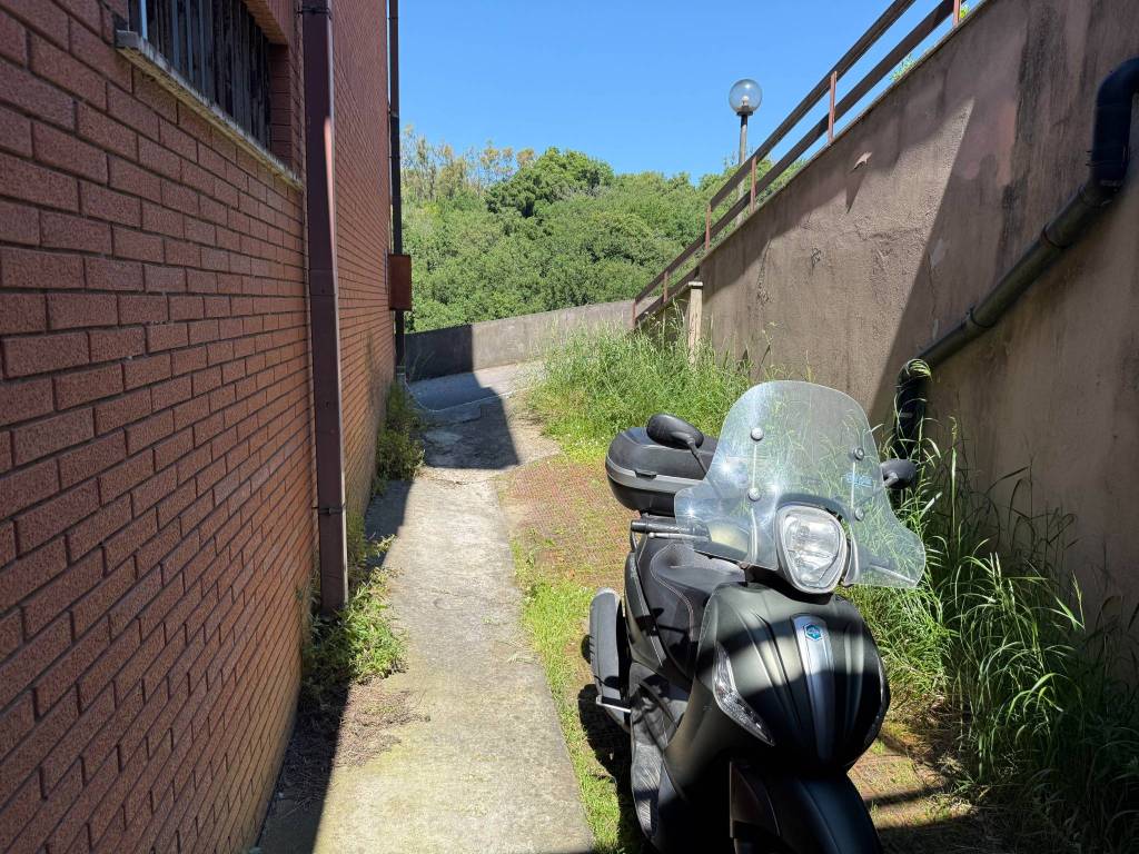 immagine annuncio 1 di 2