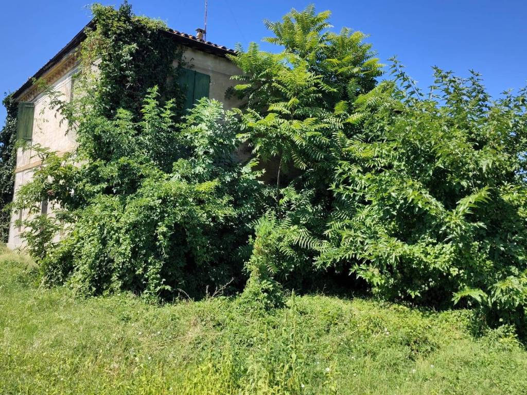 immagine annuncio 2 di 4