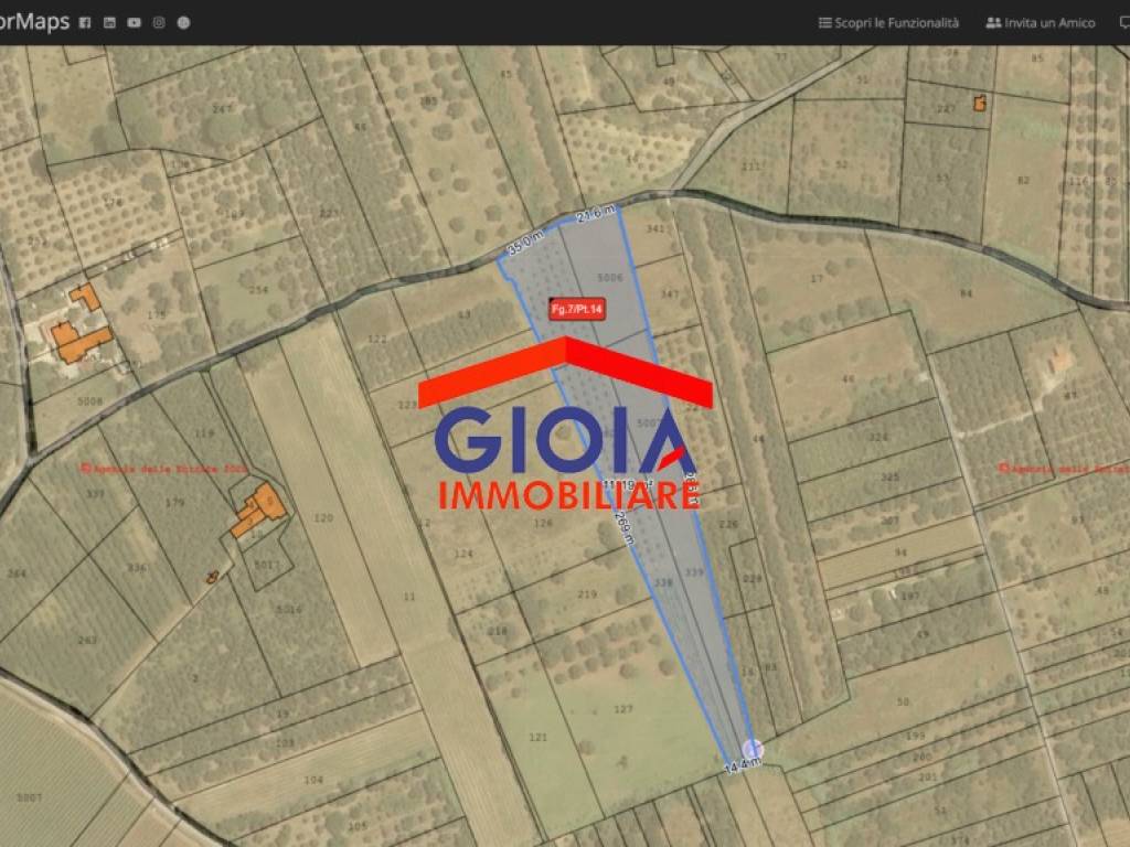 immagine annuncio 2 di 3