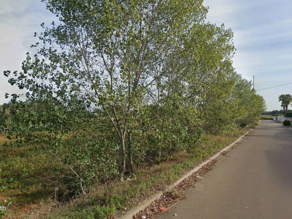 immagine annuncio 3 di 4