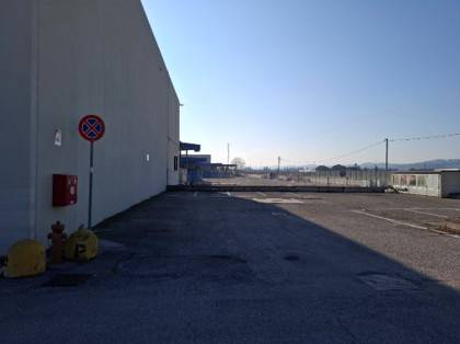 immagine annuncio 2 di 4