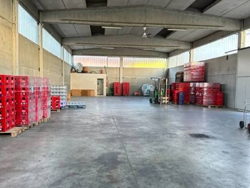 immagine annuncio 2 di 5