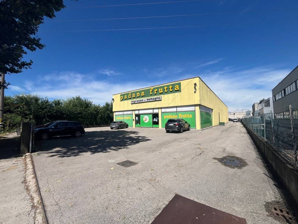 immagine annuncio 1 di 5