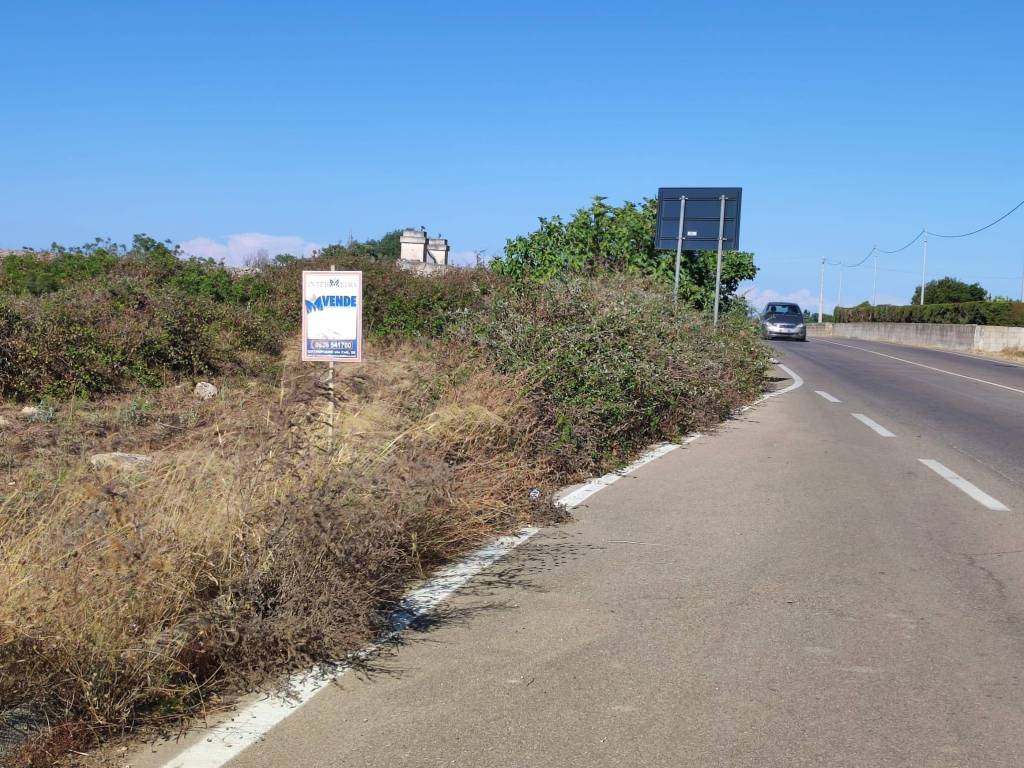 immagine annuncio 2 di 4