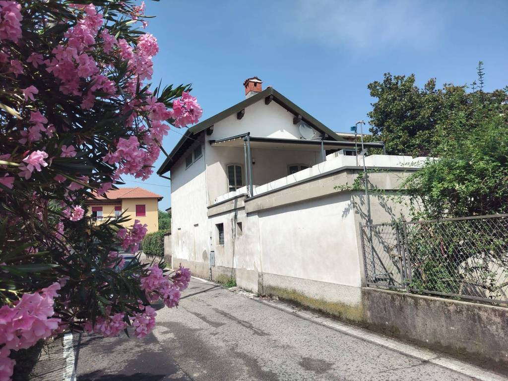 immagine annuncio 1 di 3