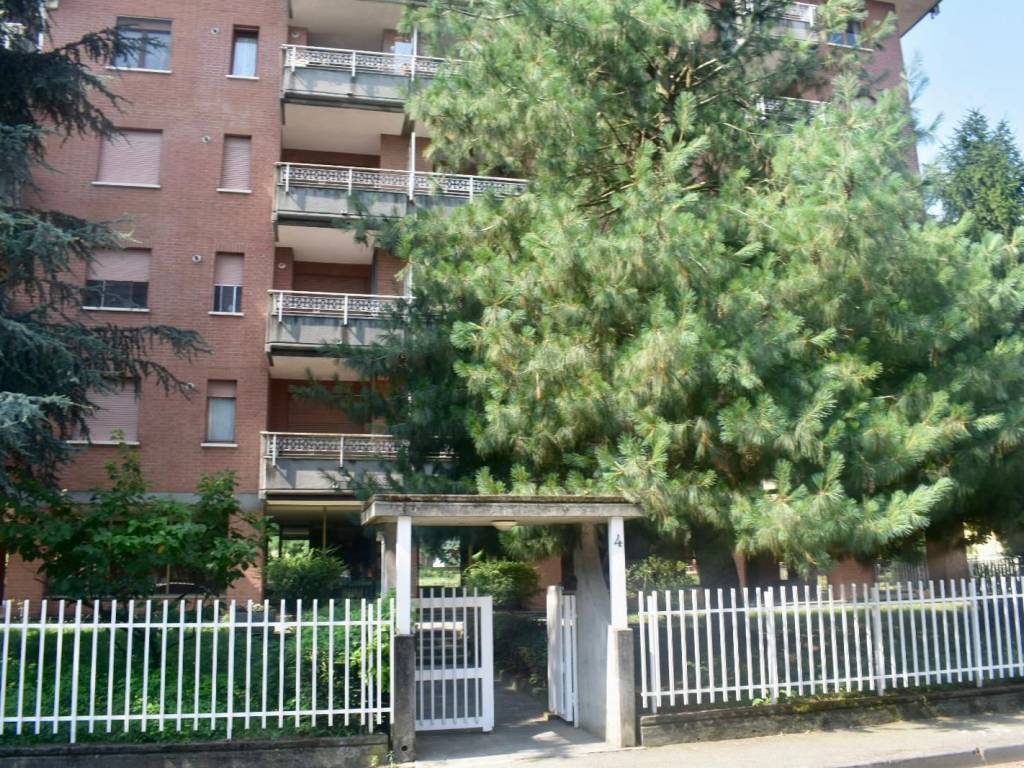 immagine annuncio 2 di 5
