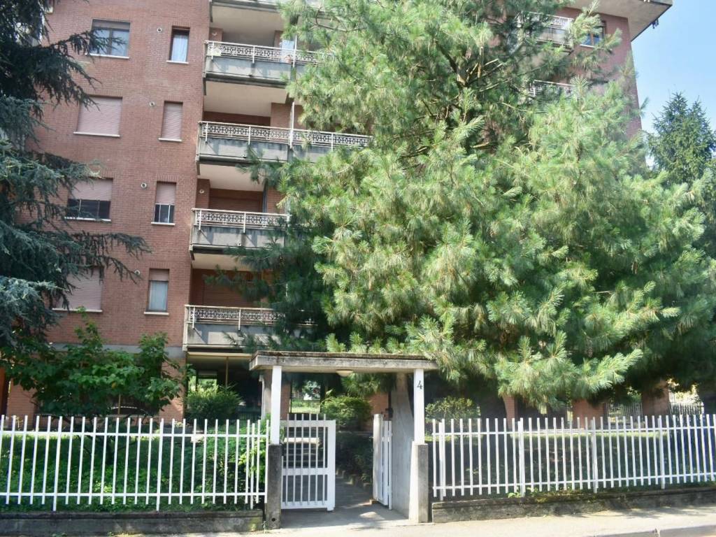 immagine annuncio 3 di 5