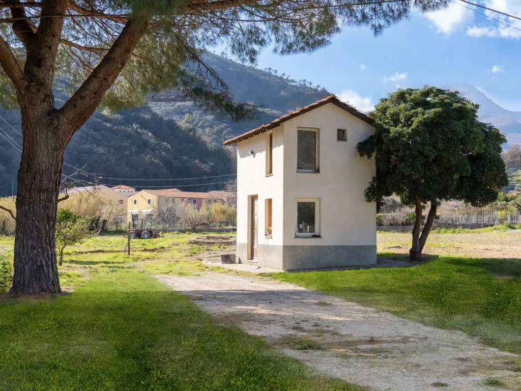 immagine annuncio 1 di 4