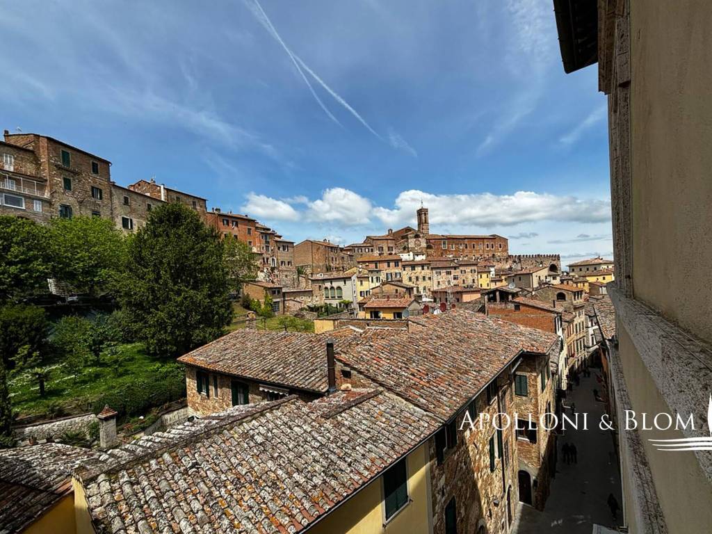 immagine annuncio 2 di 4