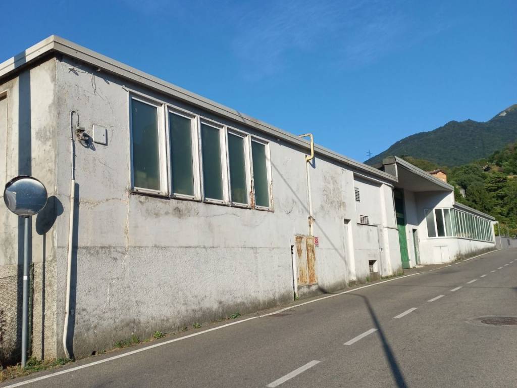 immagine annuncio 1 di 3