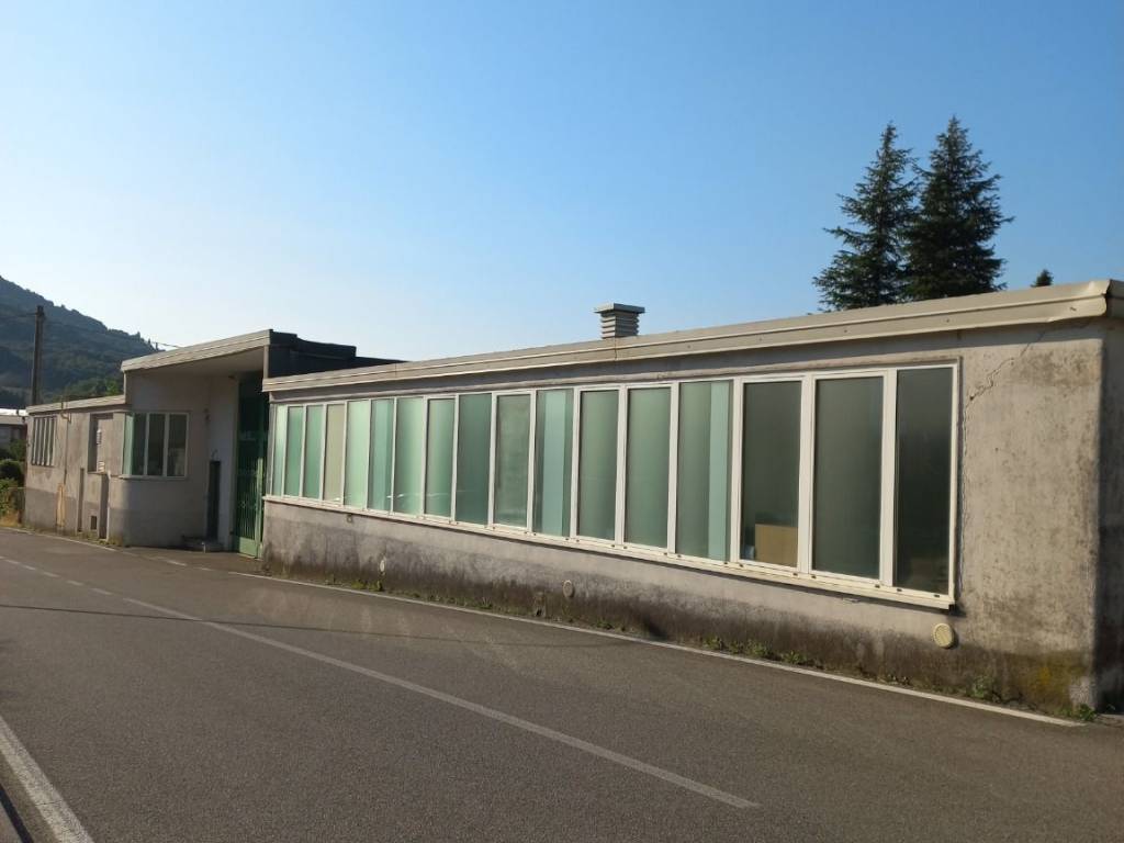 immagine annuncio 2 di 3