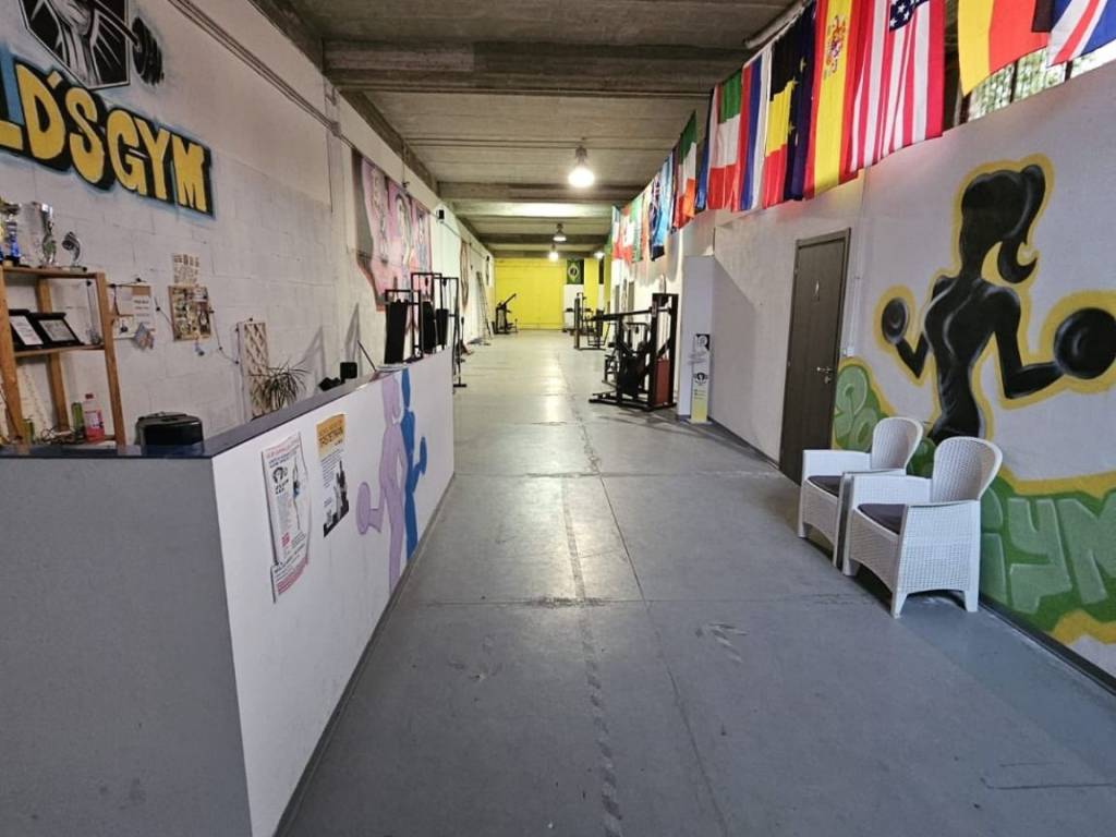 immagine annuncio 2 di 5