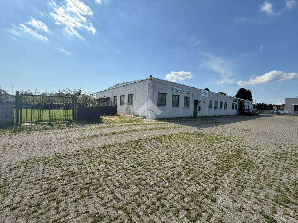 immagine annuncio 3 di 5