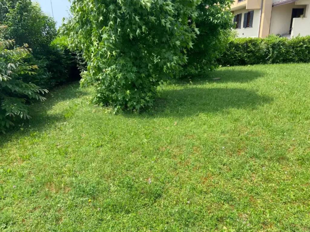 immagine annuncio 2 di 4