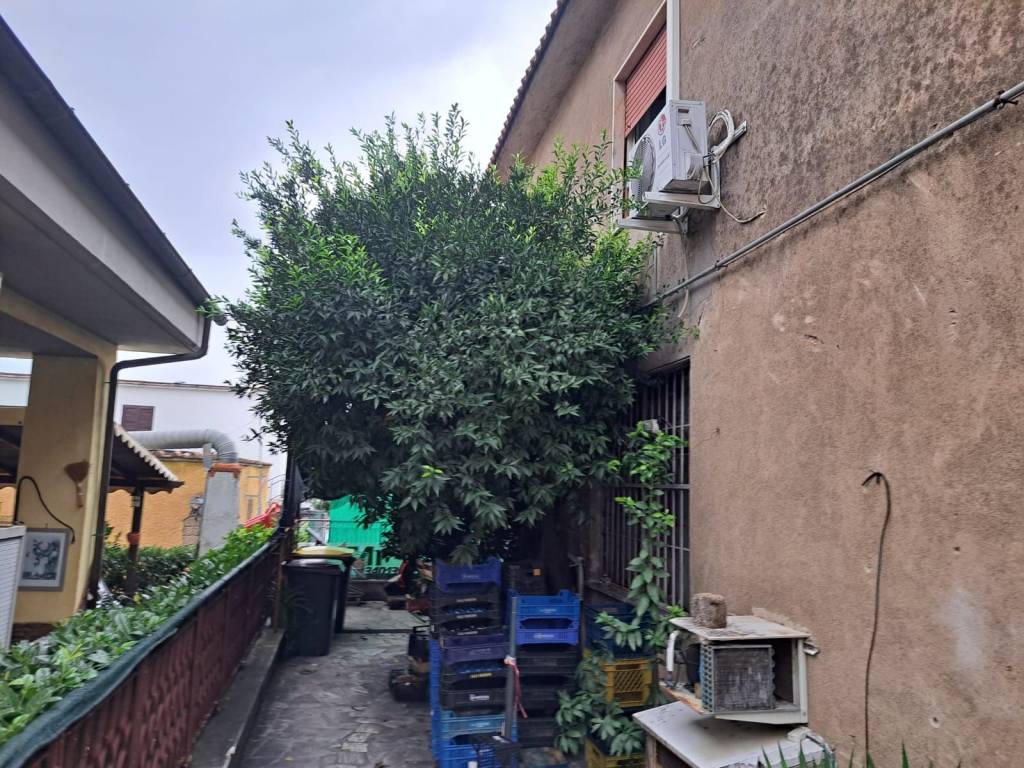 immagine annuncio 3 di 4