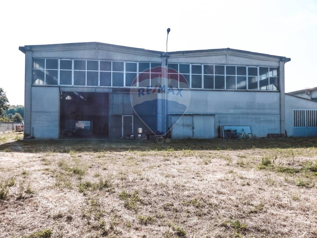 immagine annuncio 3 di 5