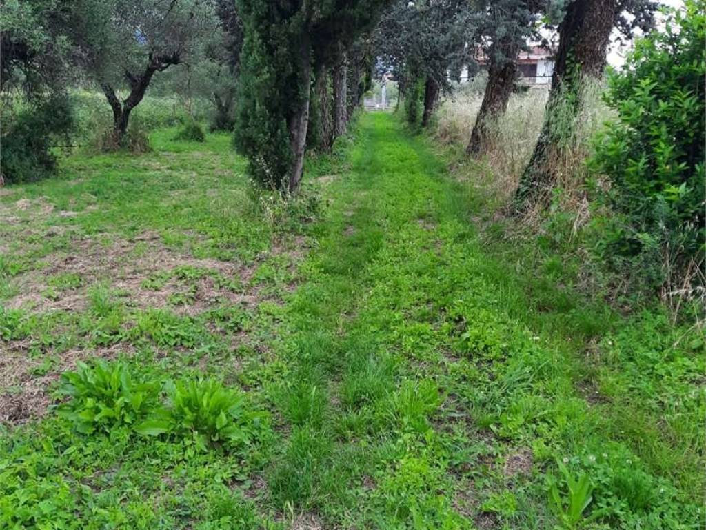 immagine annuncio 3 di 4