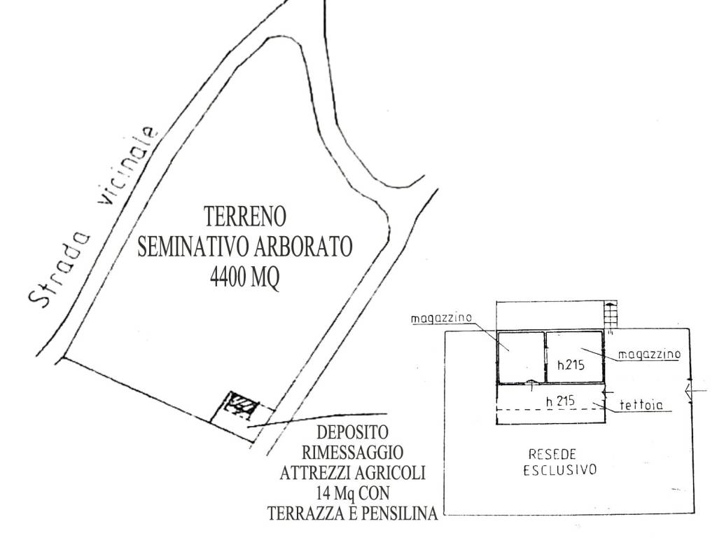 immagine annuncio 2 di 4