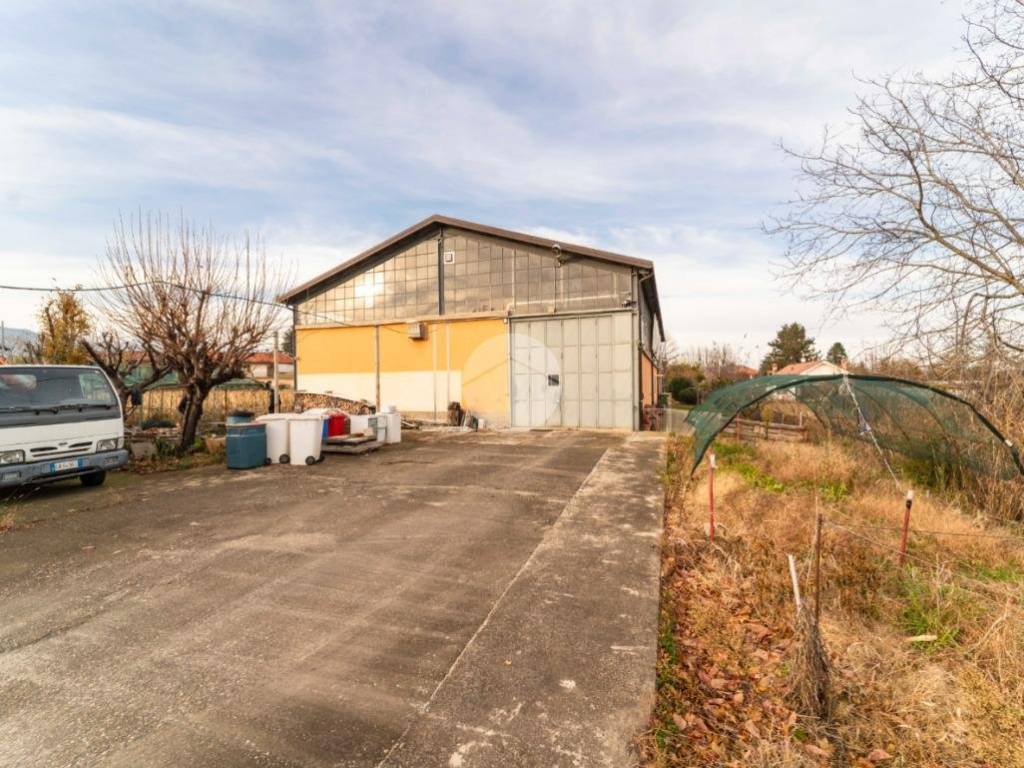 immagine annuncio 4 di 5