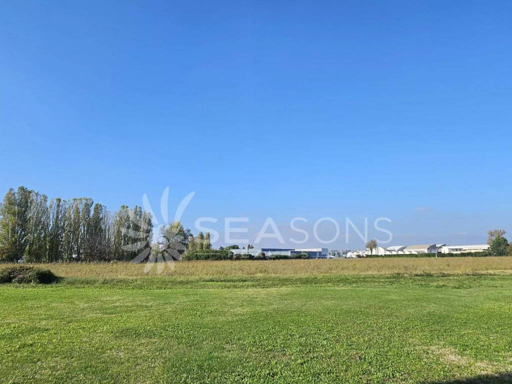 immagine annuncio 2 di 4