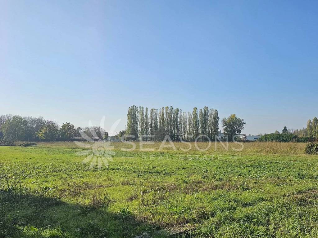 immagine annuncio 3 di 4