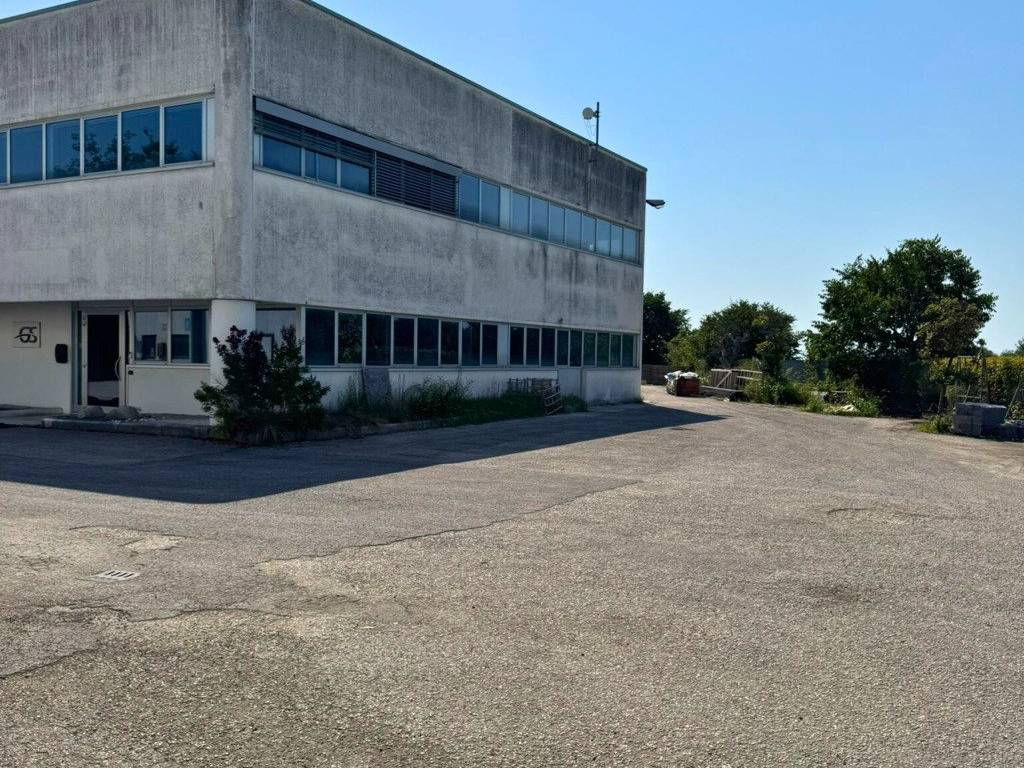 immagine annuncio 4 di 5