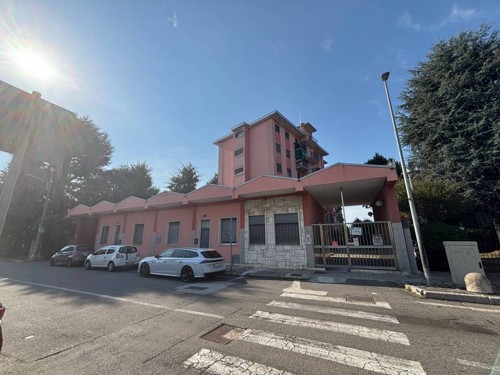 immagine annuncio 2 di 5