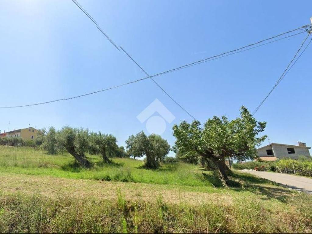 immagine annuncio 3 di 4