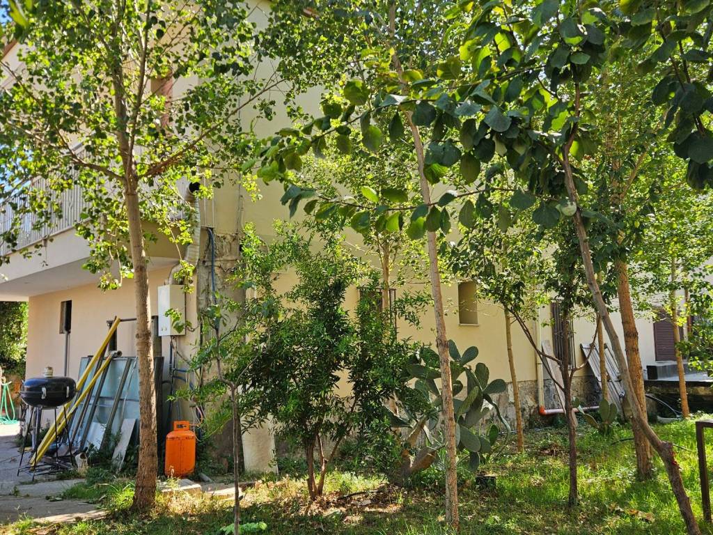 immagine annuncio 1 di 4