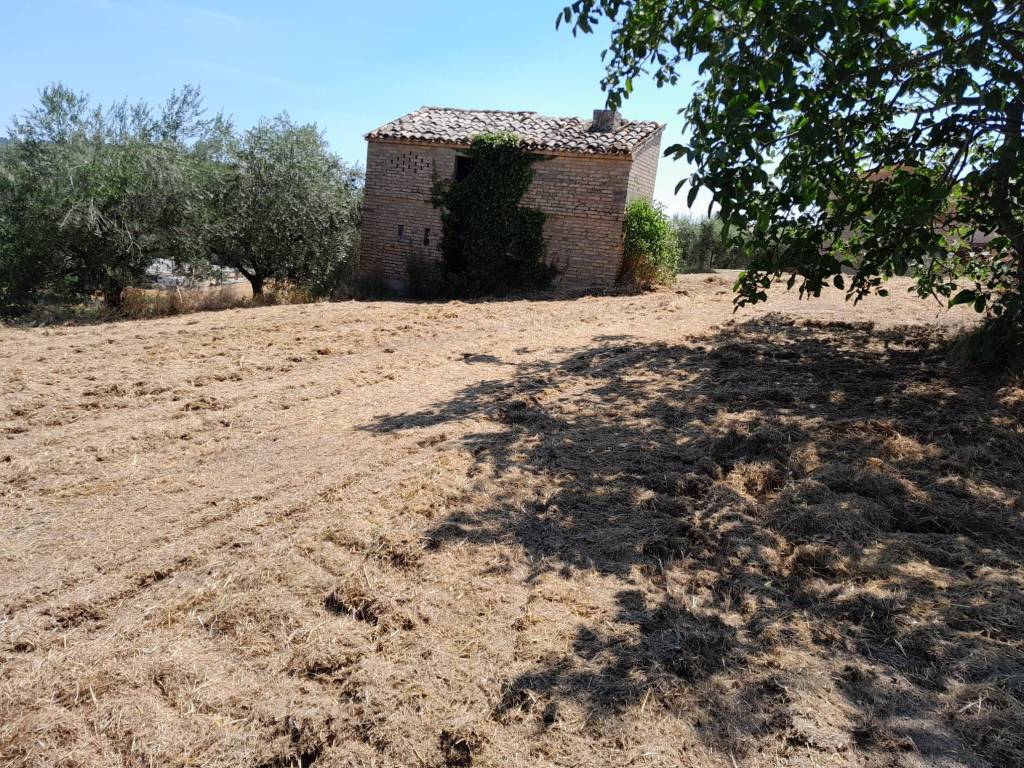 immagine annuncio 2 di 4