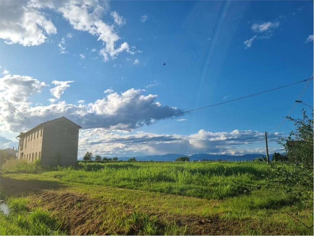 immagine annuncio 1 di 4