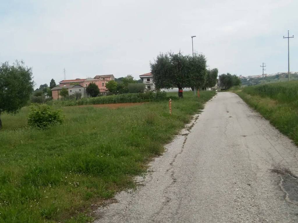 immagine annuncio 1 di 2