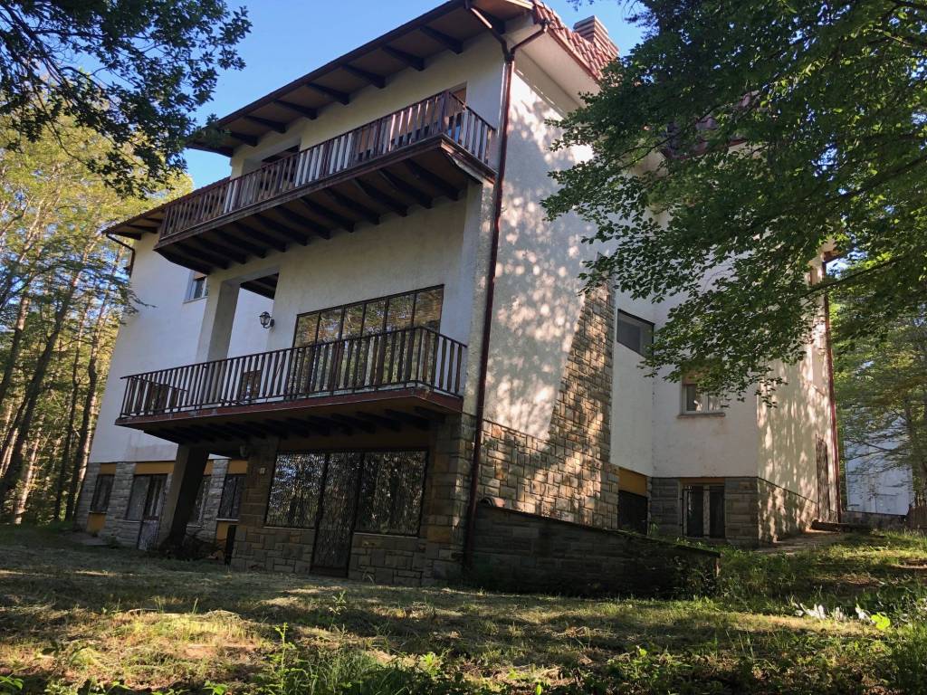 immagine annuncio 2 di 4