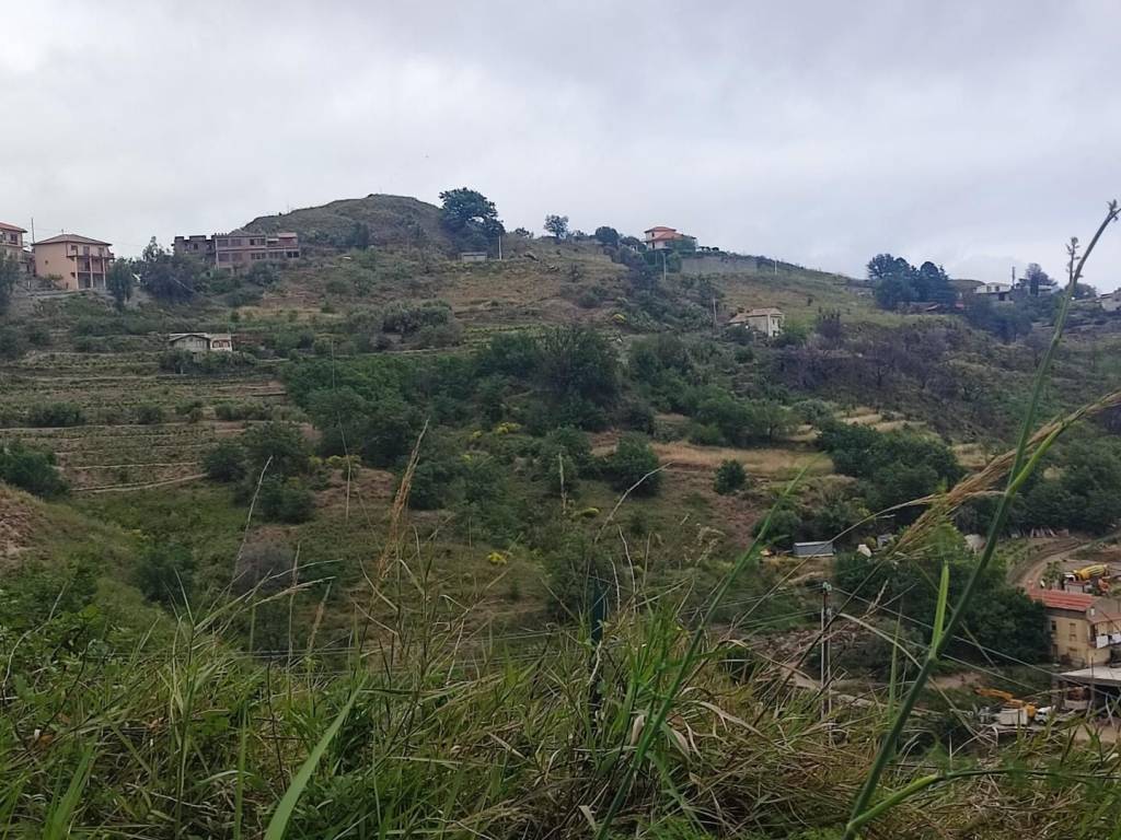 terreno agricolo in vendita a Castelmola