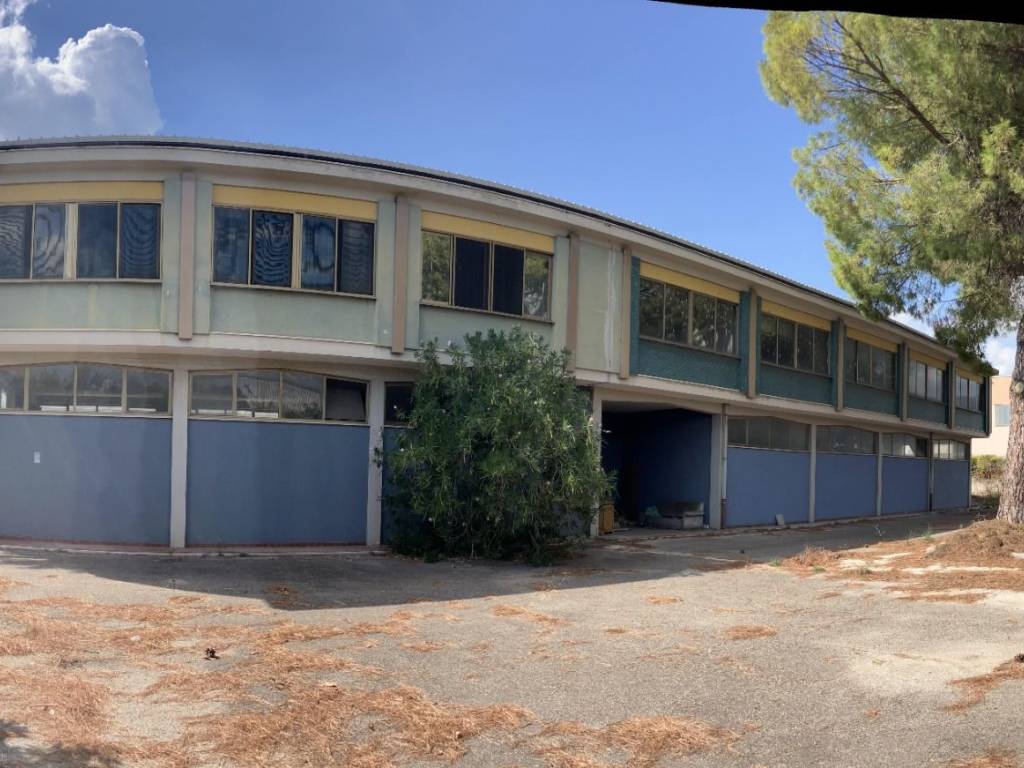 immagine annuncio 2 di 4