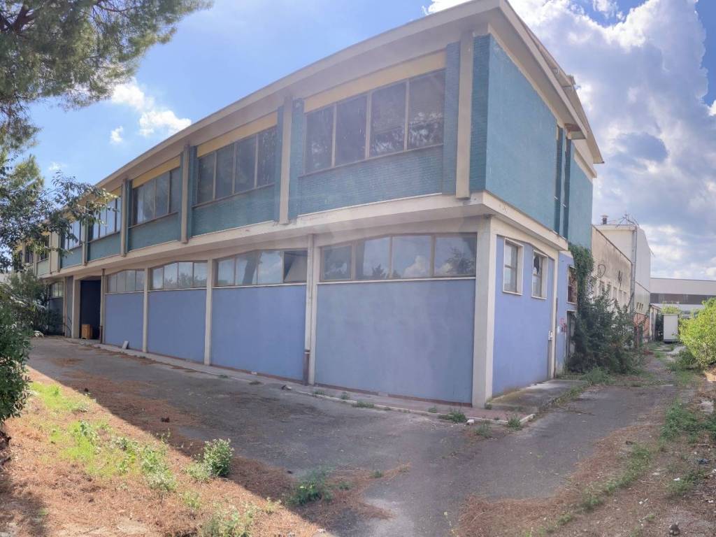 immagine annuncio 3 di 4