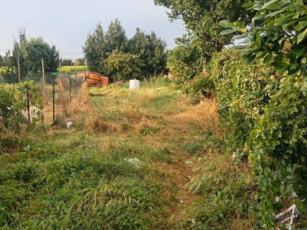 immagine annuncio 3 di 4