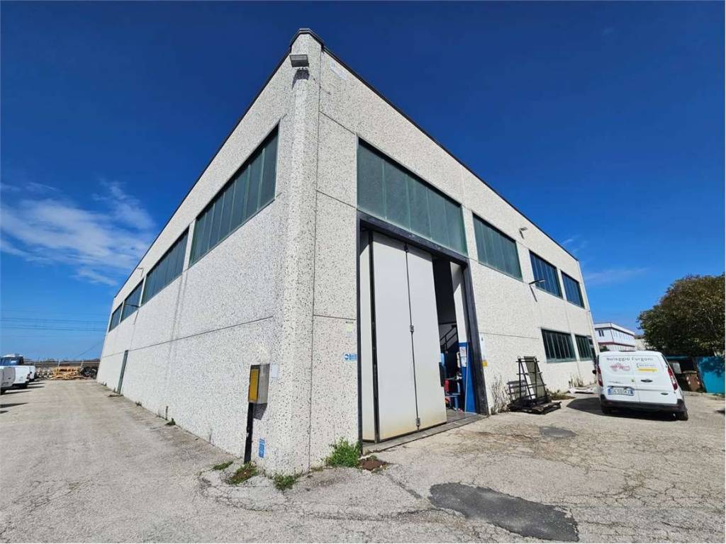 immagine annuncio 2 di 5