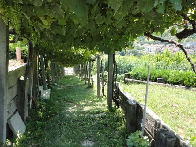 immagine annuncio 1 di 4